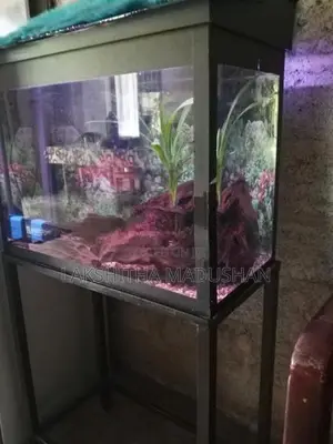 Fish Tank