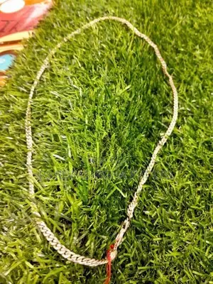 Silver Chain