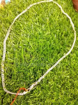 Silver Chain