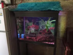 Fish Tank