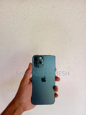 Apple iPhone 12 Pro Max (Used)