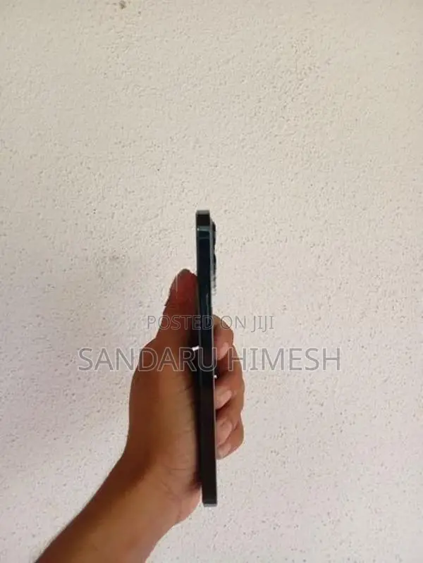 Apple iPhone 12 Pro Max (Used)