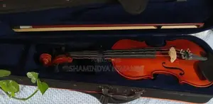 Violin