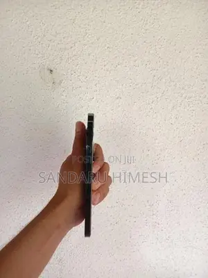 Apple iPhone 12 Pro Max (Used)