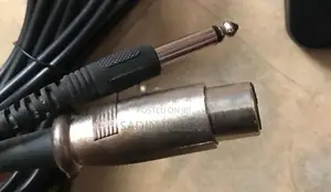 Odiyo Mic