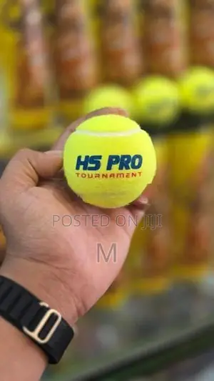 HS Cricket Ball