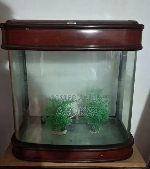 Large Fish Tank
