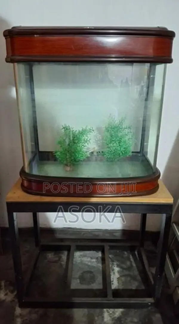 Large Fish Tank