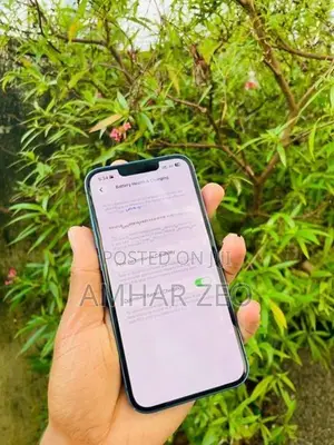 Apple iPhone 13 (Used)