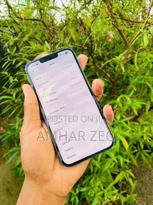 Apple iPhone 13 (Used)