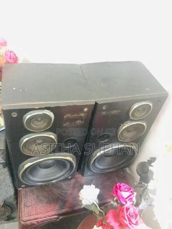 Kanwood Speakers