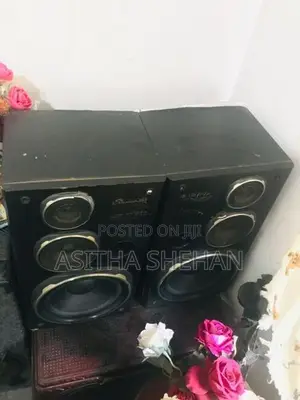 Kanwood Speakers