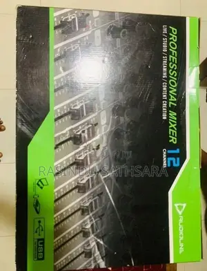 Professional 12 Channel Audio Mixer with USB