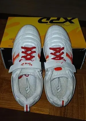 Indoor Sport Shoes