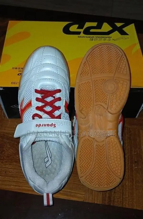 Indoor Sport Shoes