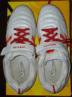 Indoor Sport Shoes