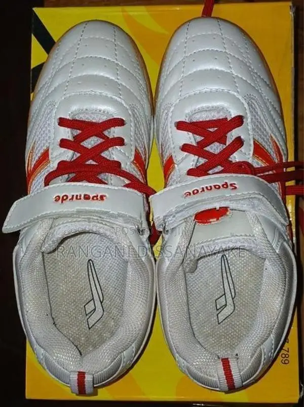 Indoor Sport Shoes