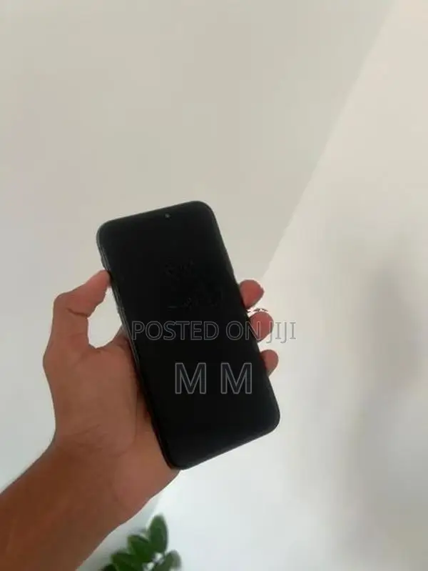 Apple iPhone 11 (Used)
