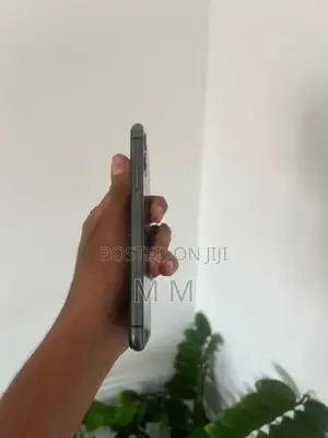 Apple iPhone 11 (Used)