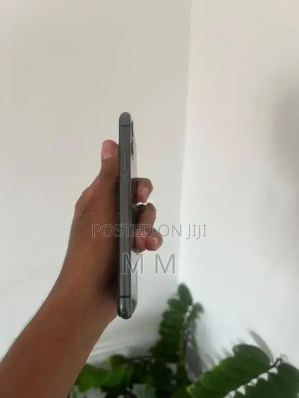 Apple iPhone 11 (Used)