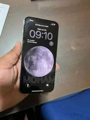 Apple iPhone 13 Pro Max (Used)