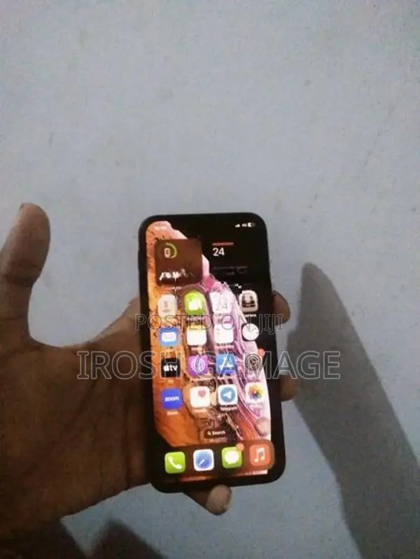 Apple iPhone XS 256GB (Used)