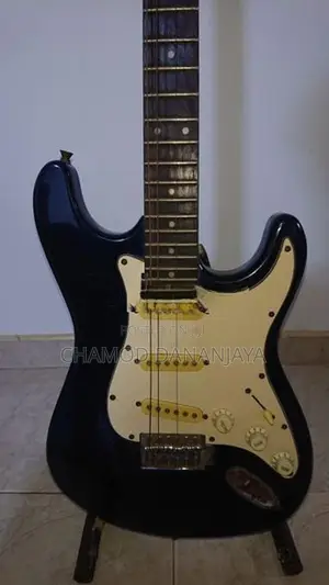Samic Guitar