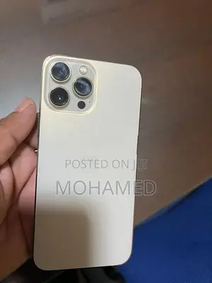 Apple iPhone 13 Pro Max (Used)