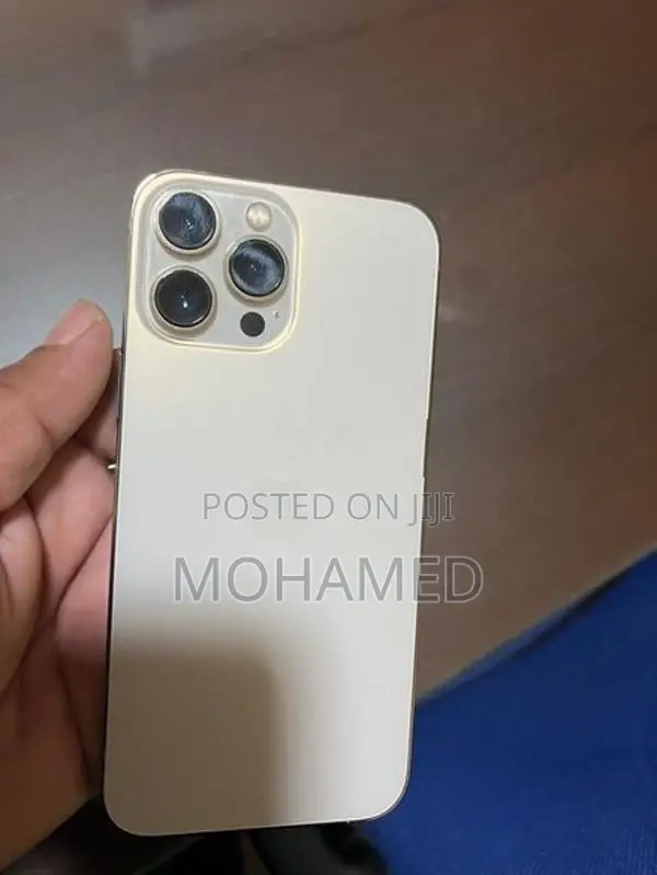 Apple iPhone 13 Pro Max (Used)