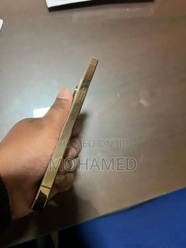 Apple iPhone 13 Pro Max (Used)