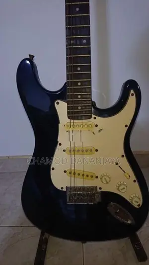 Samic Guitar