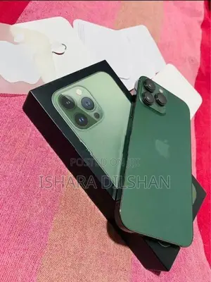 Apple iPhone 13 Pro Max (Used)