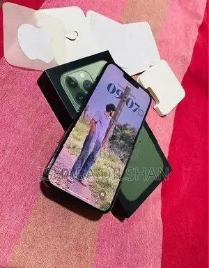 Apple iPhone 13 Pro Max (Used)