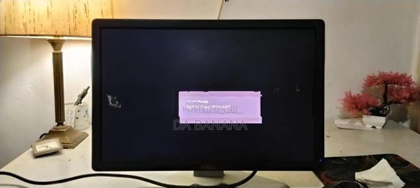 19 ich Dell Monitor
