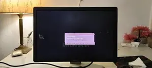 19 ich Dell Monitor