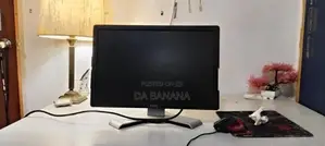 19 ich Dell Monitor