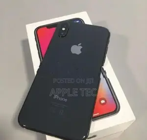 Apple iPhone X 256GB (Used)
