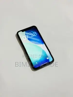 Apple iPhone 11 256GB (Used)