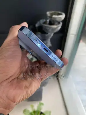 Apple iPhone 13 Pro Max 128gb (Used)