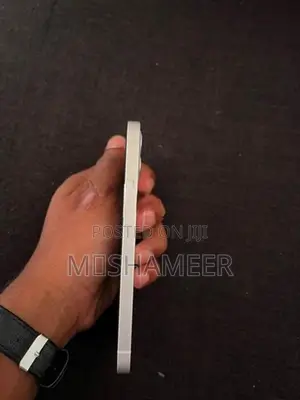 Apple iPhone 12 (Used)