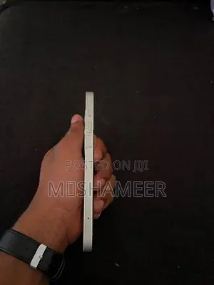 Apple iPhone 12 (Used)