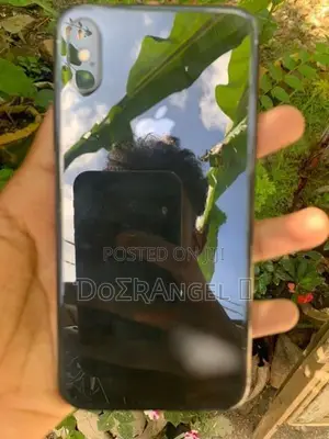 Apple iPhone X (Used)