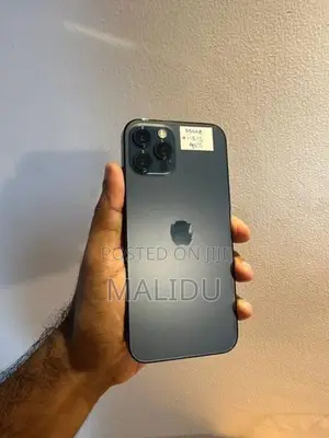 Apple iPhone 12 Pro 256GB (Used)