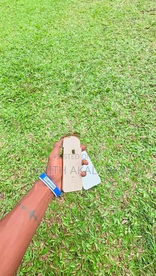 Apple iPhone XS Max (Used)