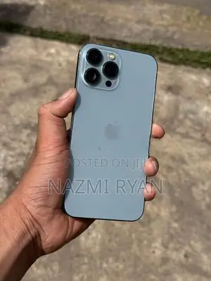 Apple iPhone 13 Pro Max (Used)
