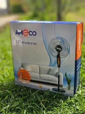 Stand Fan