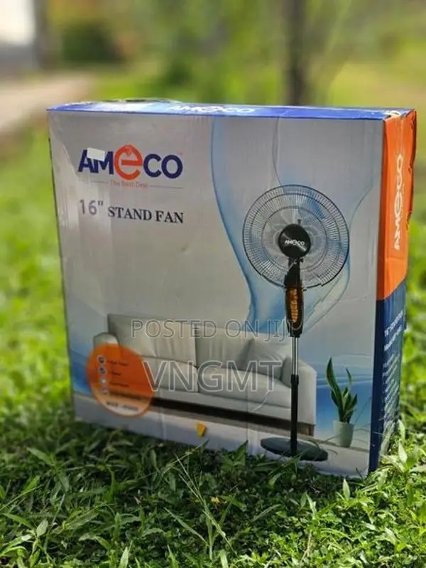 Stand Fan