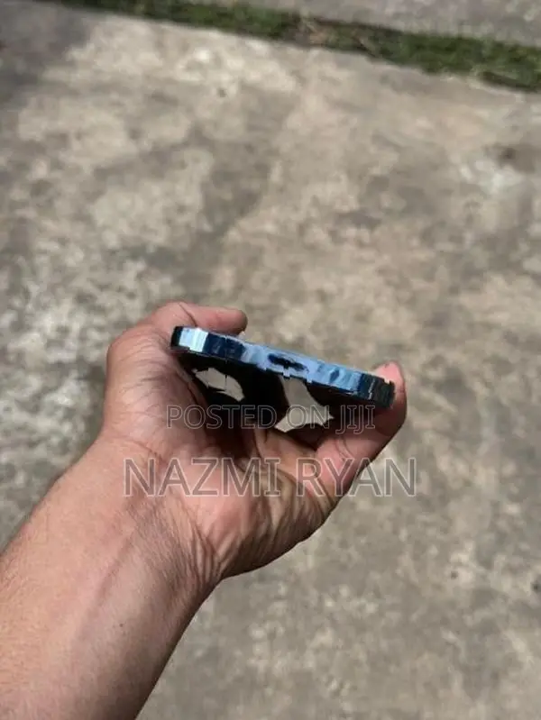 Apple iPhone 13 Pro Max (Used)