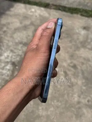 Apple iPhone 13 Pro Max (Used)
