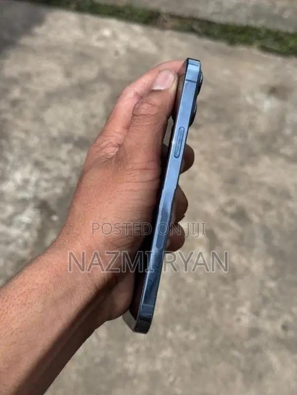 Apple iPhone 13 Pro Max (Used)